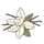 Fig