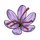 Saffron