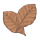 Tobacco